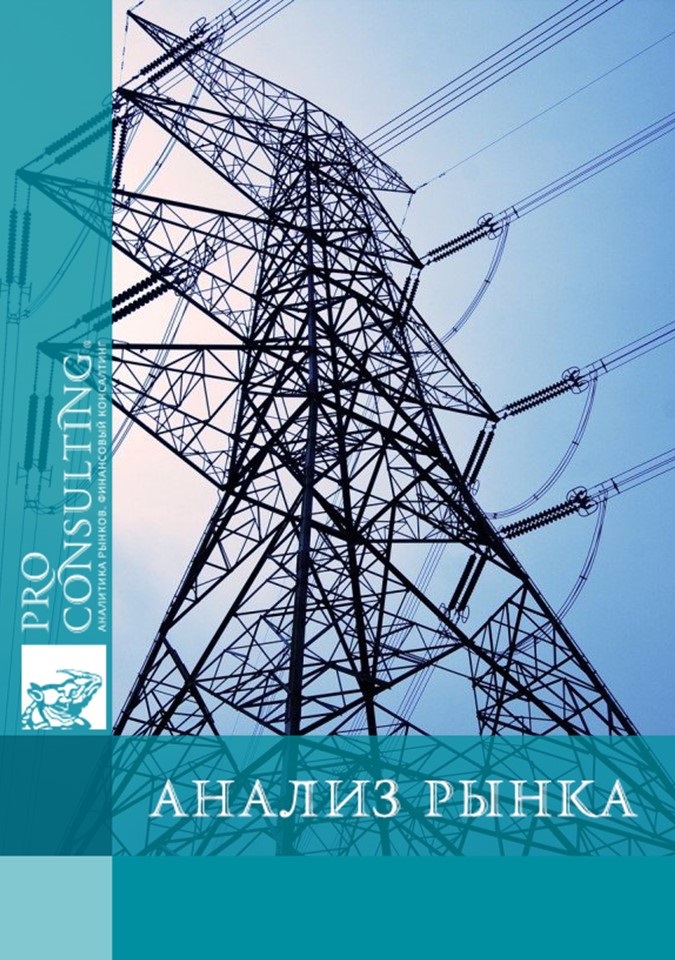 Анализ рынка электроэнергетики Украины. 2008 год